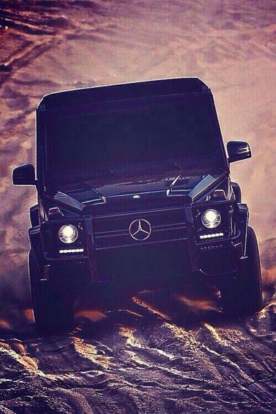 Данил Студеникин