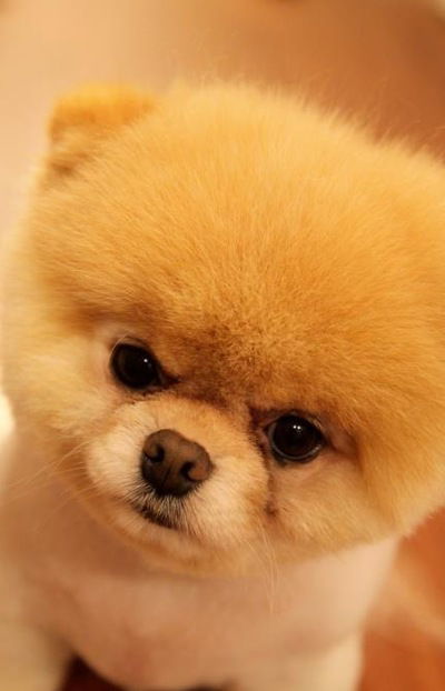 Альберт Минх