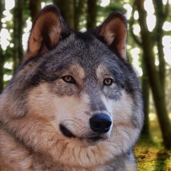 Эдуард Птухин