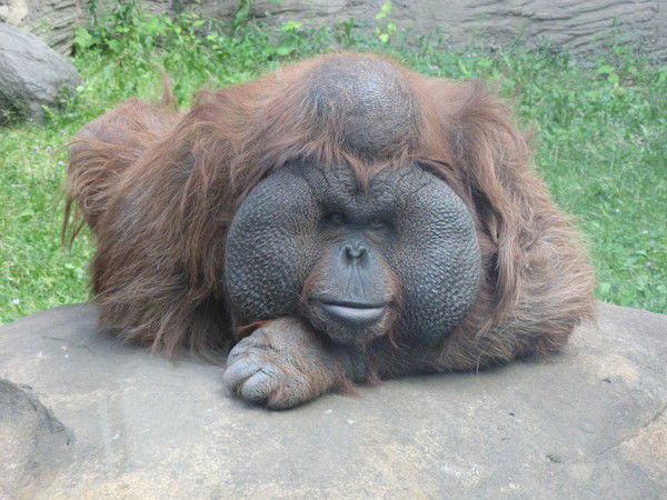 Сергей Кузнецов