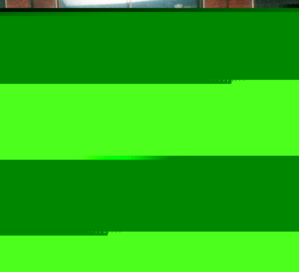 Надежда Бердниченко