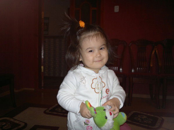 Сауле Макишева