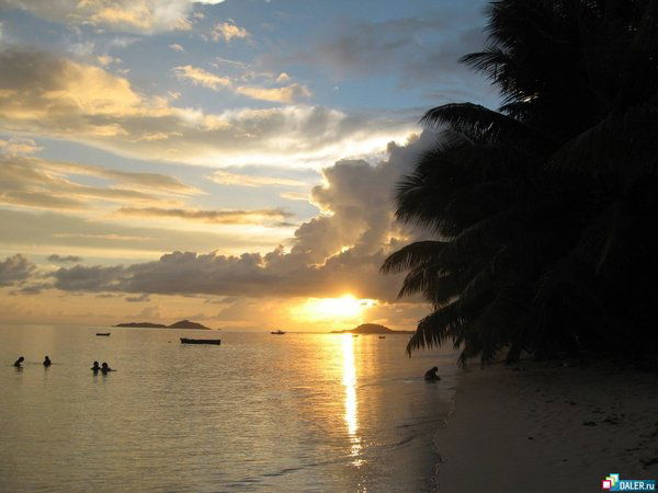 Анна Овчинникова