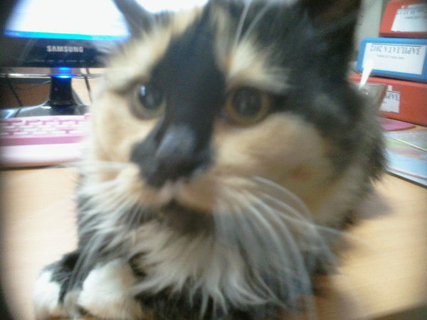 Сергей Андреев