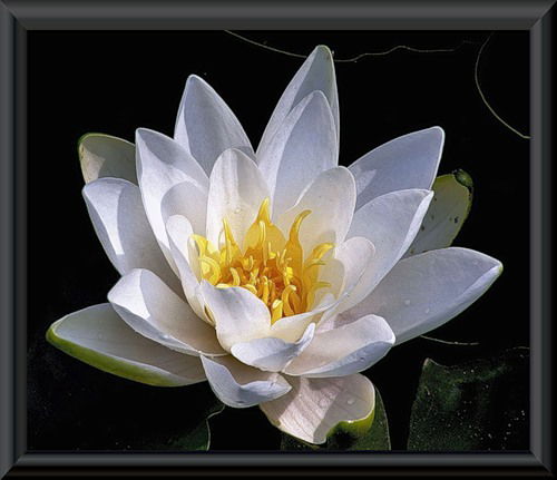 Фатима Ухтишка