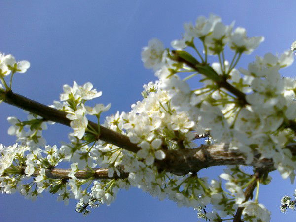 Людмила Крюкова