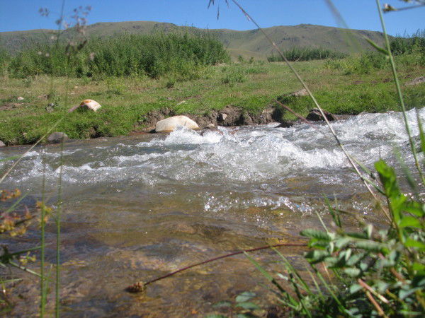 Ильгам Бильданов