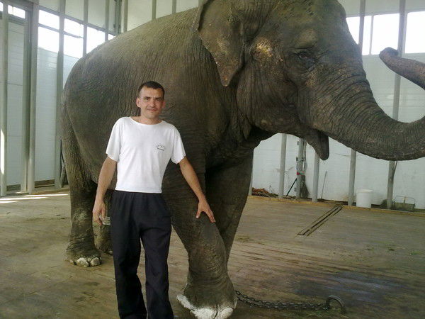 Алексей Кузнецов