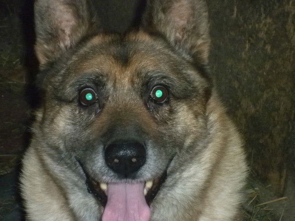 Исмаил Пиров