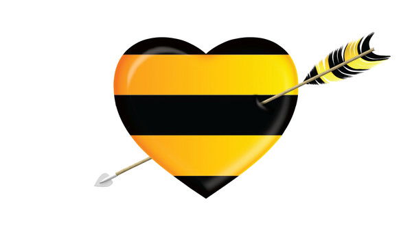 Цок Советская16