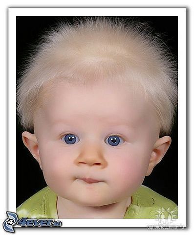 Дмитрий Лукьянов