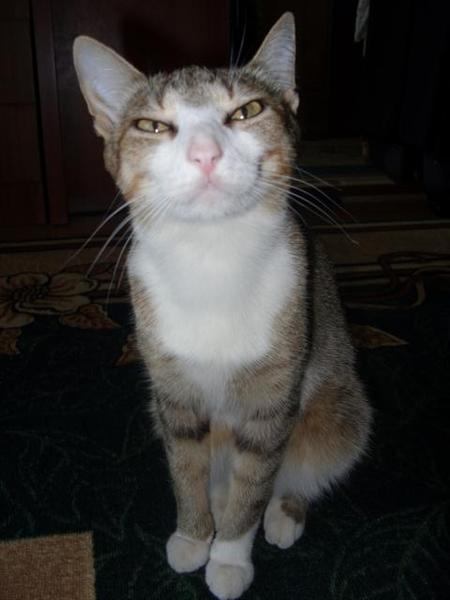 Татьяна Реу