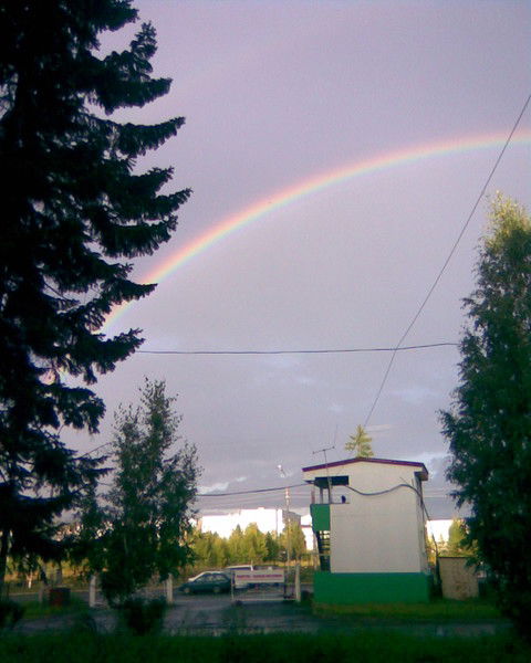 Анатолий Киценко