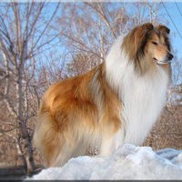 Полина Блошенкова