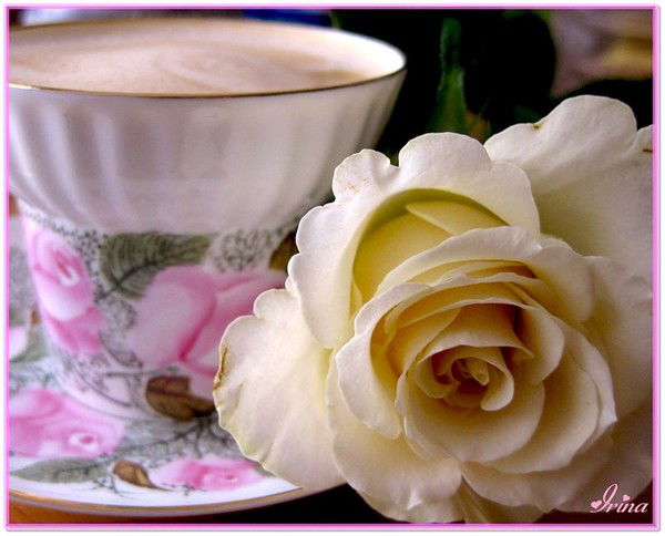 Татьяна Шепелева