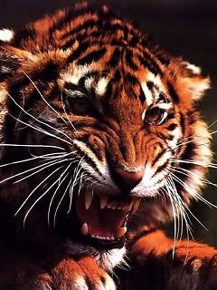 Николай Пономарёв