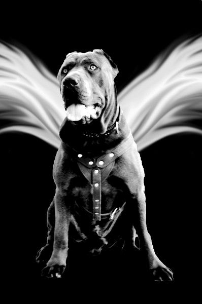 Ольга Радионова