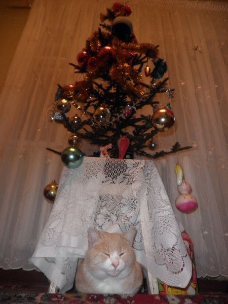 Александр Прудников