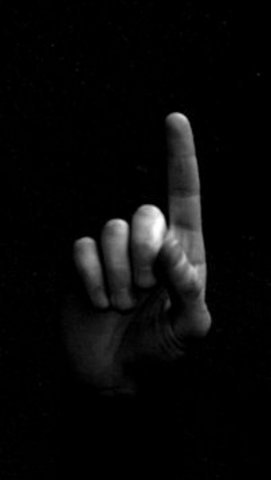 Заур Шабанов