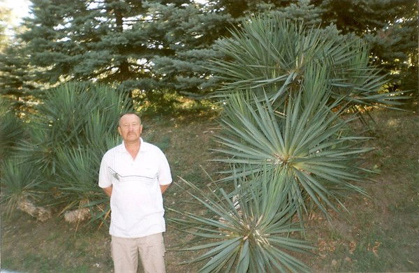 Сергей Рудкевич