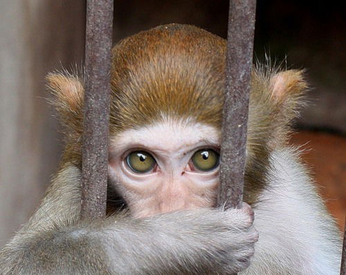 Данилина Светлана