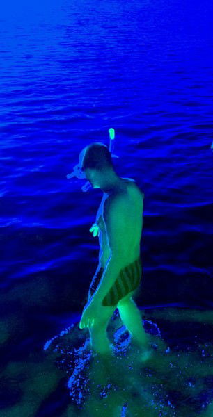 Вадим Бородулин