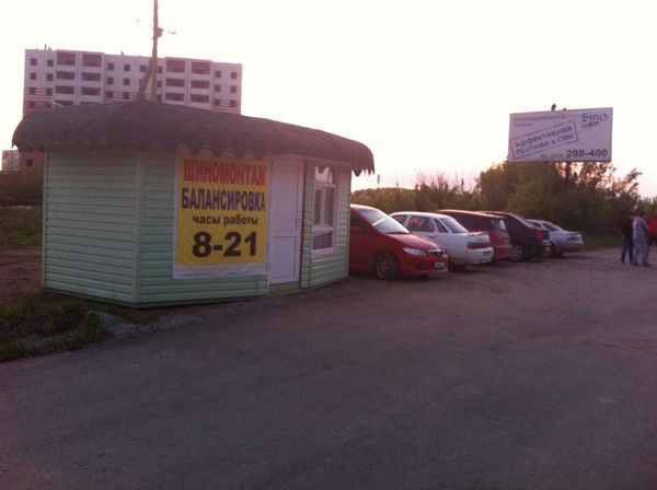 Наталья Шинкина