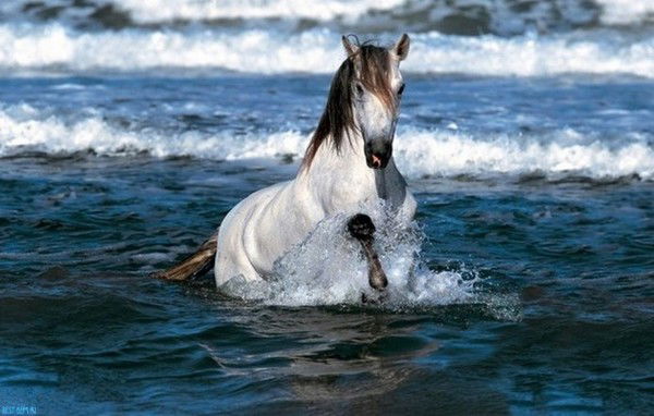 Канат Жалгасбаев