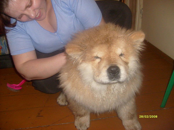 Вера Ашихмина