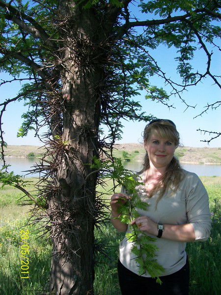 Светлана Литвинова