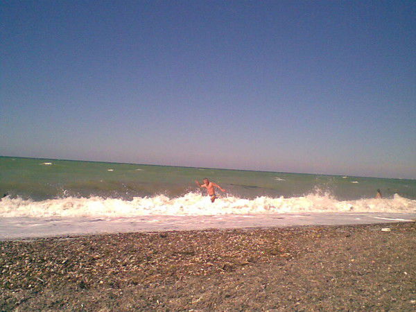 Александр Анисов