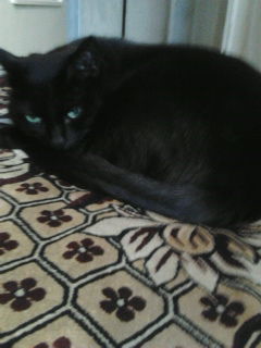 Ольга Бокунова