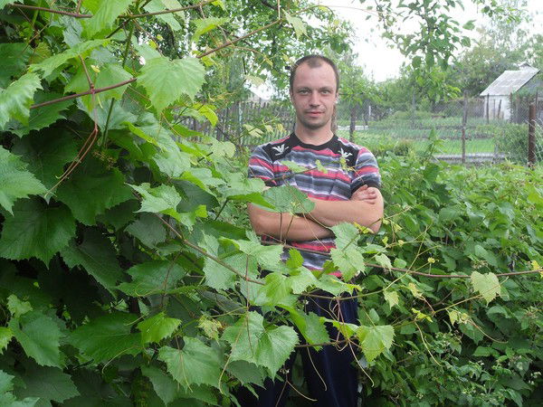 Александр Волобуев