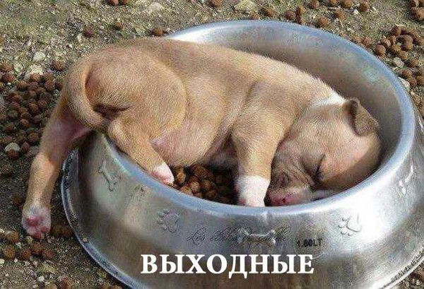 Олег Абрамчук