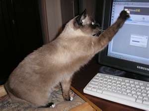 Юлия Вольнова