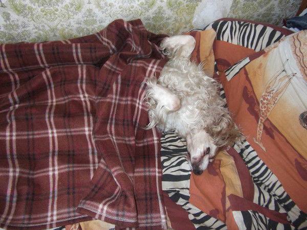 Игорь Пимкин