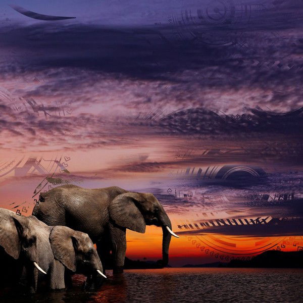 Дарья Исаева