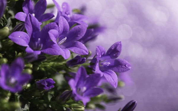 Динара Олжагулова (Булхаирова)