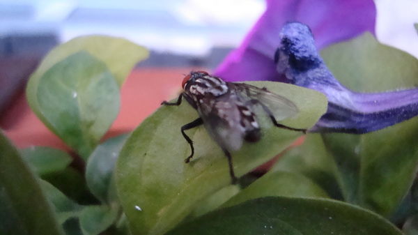 Игорь Глотов