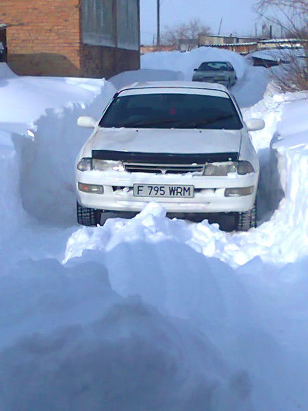 Александр Фомин