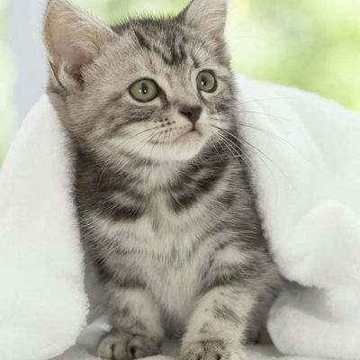 Алёна Титова