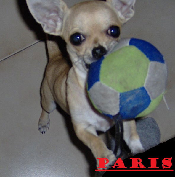 Н@стя Кобылянск@я