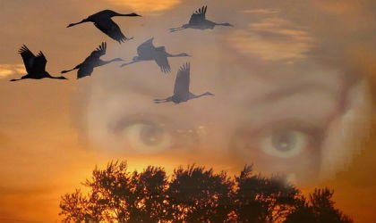 * *lontanio Dall Ideale* *