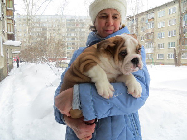 Наталья Андреева