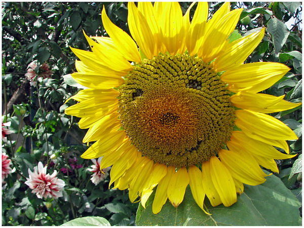 Ольга Навражина