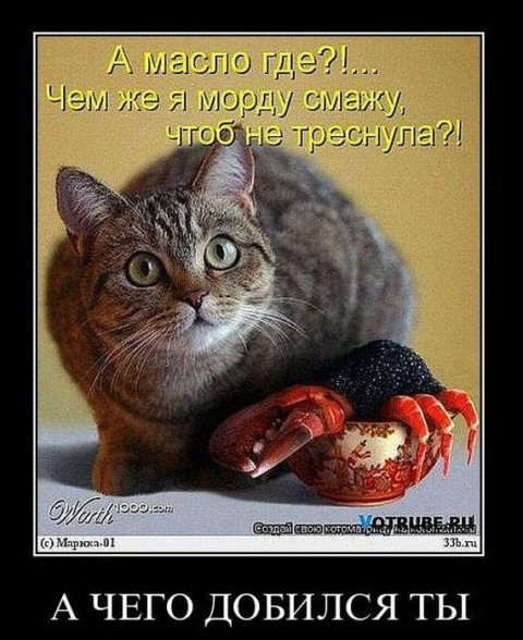 Андрей Максачев