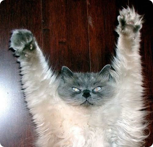 Сергей Коперник