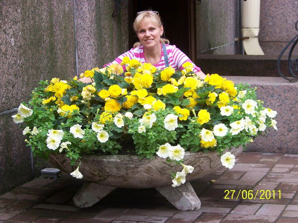 Елена Сыч (Вороненко)