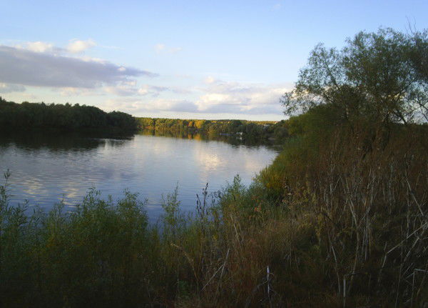 Галина Валикова