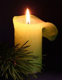 Светлана Демянчук